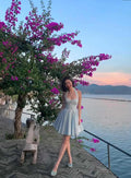 Blue lace Cinderella one piece dress